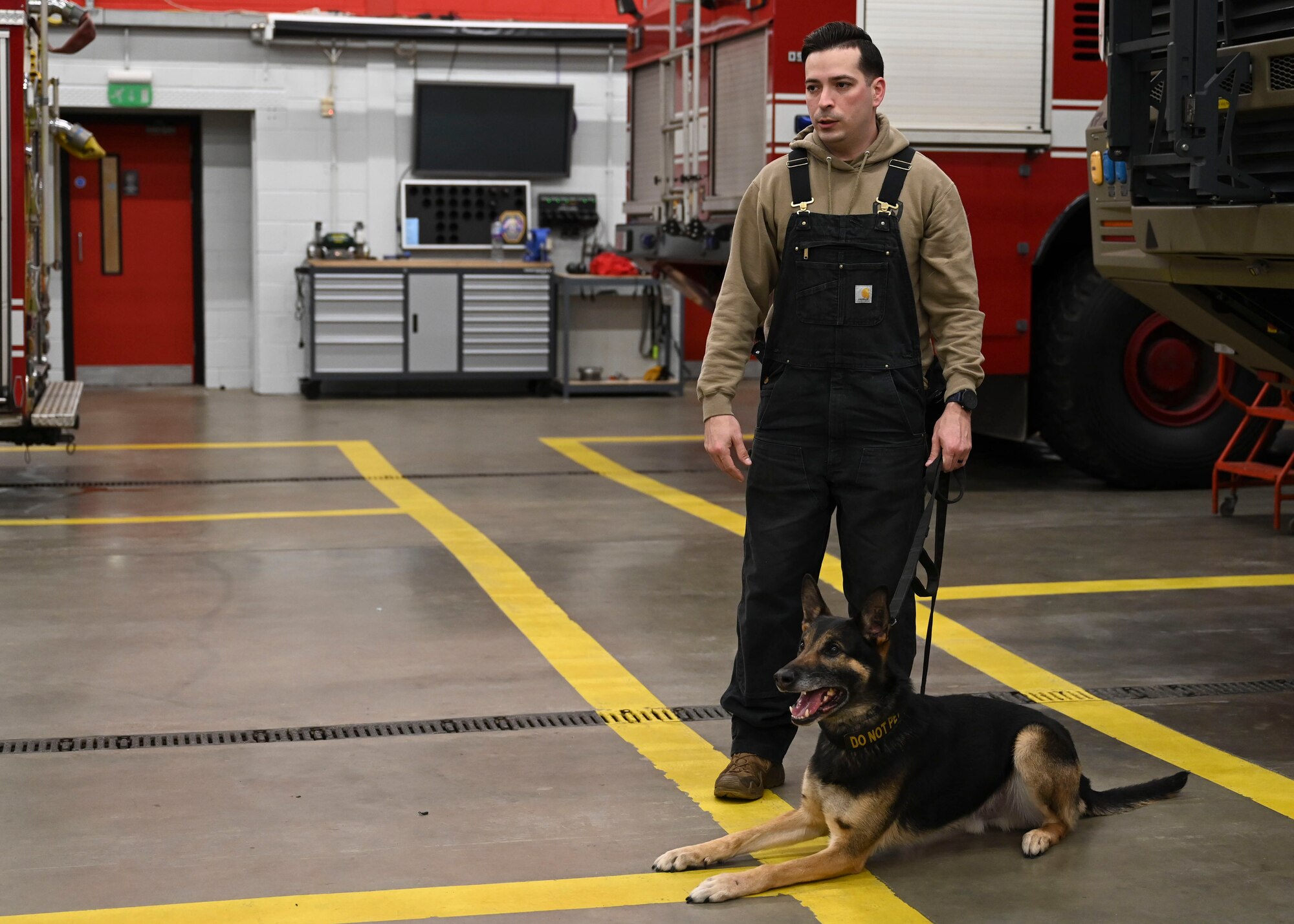 Military working dogs provide a psychological deterrent, security, detection, and alerting capabilities in the tri-base area.