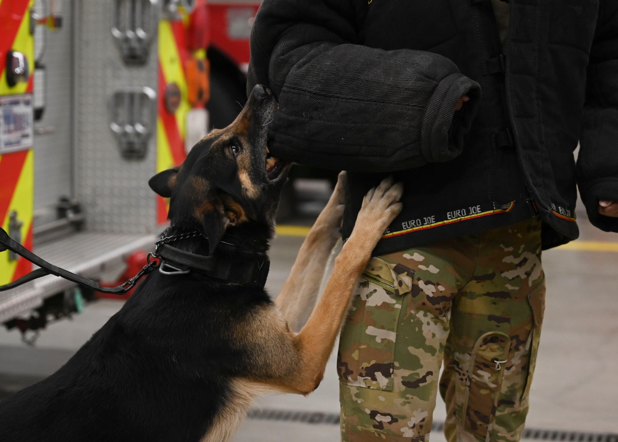 Military working dogs provide a psychological deterrent, security, detection, and alerting capabilities in the tri-base area.