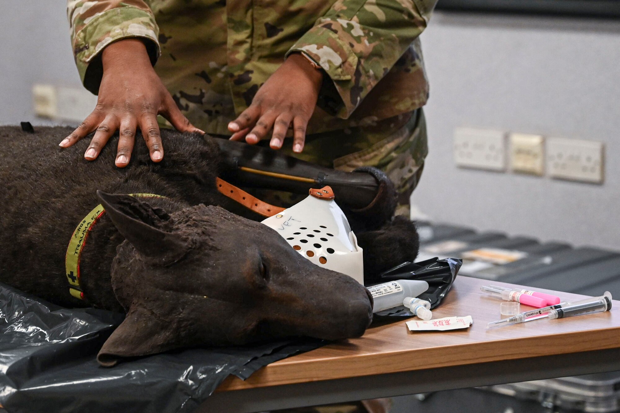 The manikin simulates fake bleeding so that attendees can practice for real-world scenarios.