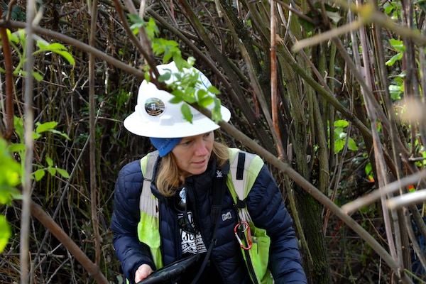 a woman in safety gear, holding an electronic tablet, is examining the trees that surround her