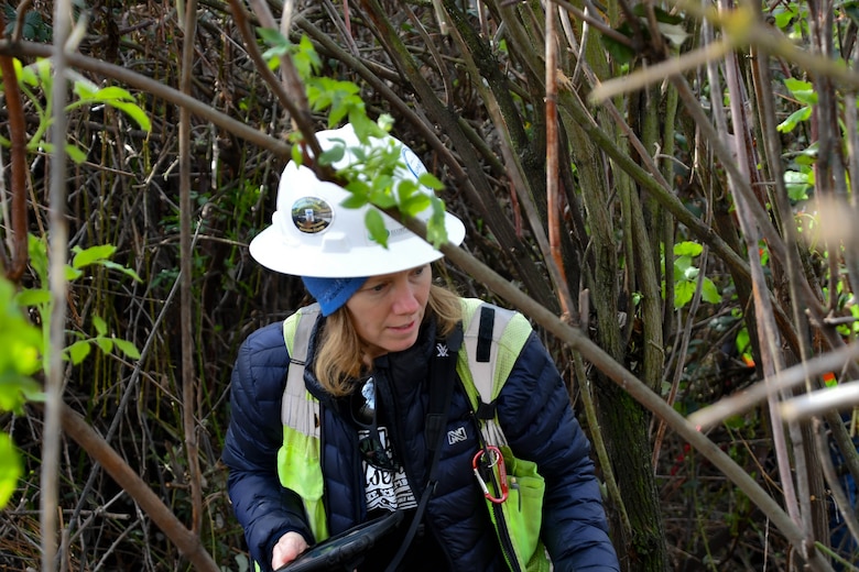 a woman in safety gear, holding an electronic tablet, is examining the trees that surround her