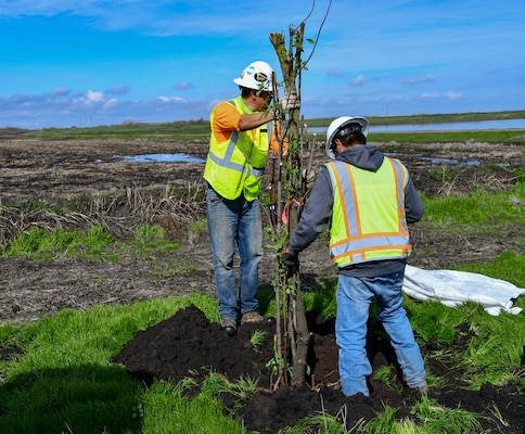 two men holding a tree that has been recently transplanted into a hole in a field near some water