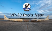VP-30 Pro's Nest