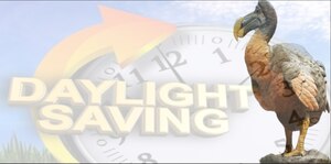 Many consider Daylight Saving Time an outdated concept that should go the way of the Dodo bird. Indeed, several potential hazards accompany the time change -- especially the "spring forward" version when people lose an hour of sleep.