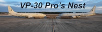 VP-30 Pro's Nest