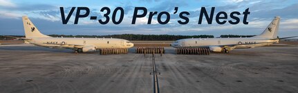 VP-30 Pro's Nest