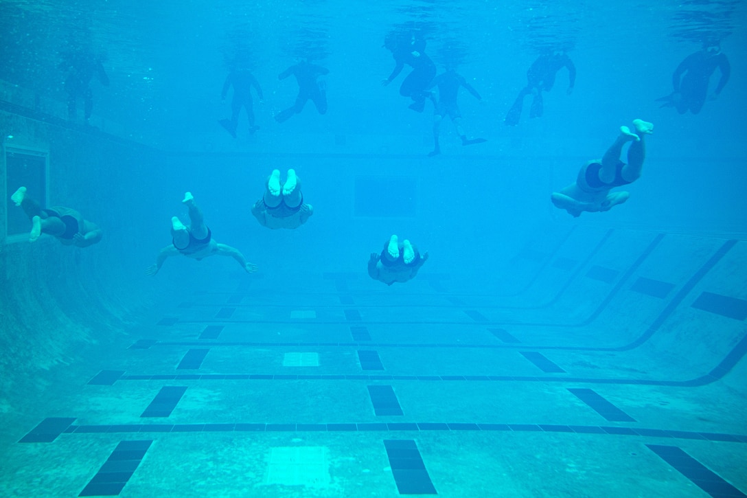 A group of Navy SEAL candidates are photographed from behind, swimming in a training tank.