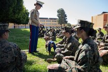U.S. Marine Corps Cpl. Sarah Grawcock, a combat photographer and the mascot handler, with Headquarters and Service Battalion, and Pfc. Bruno, the mascot of Marine Corps Recruit Depot San Diego and the Western Recruiting Region, speak to recruits at MCRD, San Diego, California, March 8, 2024. The mascot's job is to boost morale, participate in outreach work, and attend events and ceremonies. (U.S. Marine Corps photo by Lance Cpl. Eric Valerio)