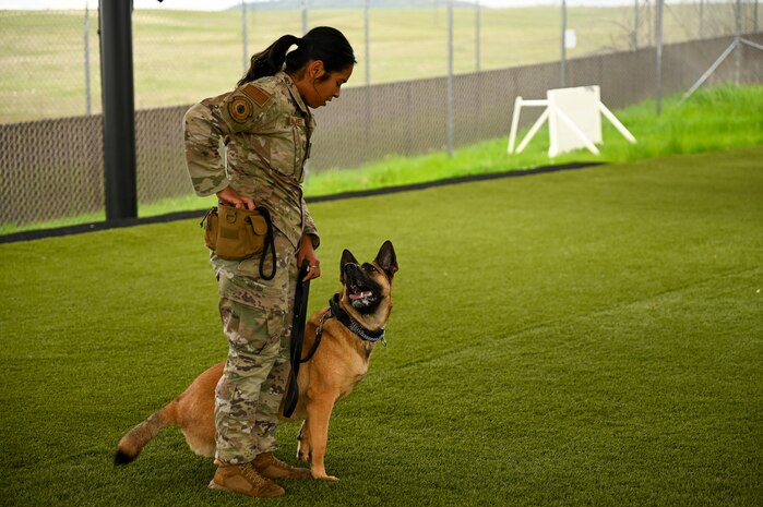 U.S. Air Force Senior Airman Gracia Bolainez, 9th Security Forces Squadron K-9 handler, and U.S Air Force Military Working Dog (MWD) Azur run the obstacle course at the kennel on Beale Air Force Base, California, Feb. 29, 2024.