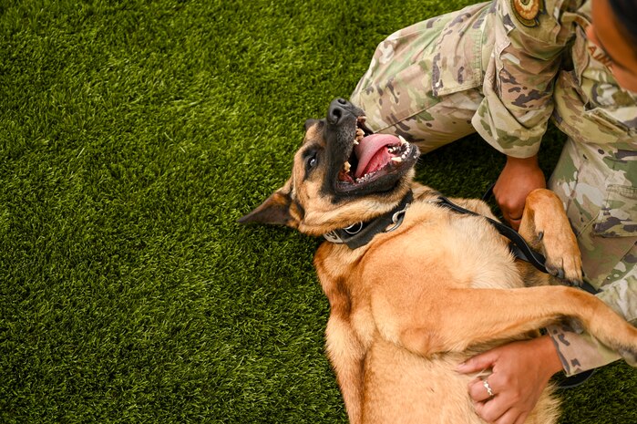 U.S. Air Force Senior Airman Gracia Bolainez, 9th Security Forces Squadron K-9 handler, and U.S Air Force Military Working Dog (MWD) Azur take a break at the kennel on Beale Air Force Base, California, Feb. 29, 2024.