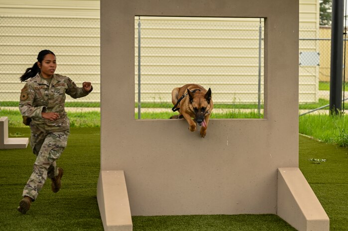 U.S. Air Force Senior Airman Gracia Bolainez, 9th Security Forces Squadron K-9 handler, and U.S Air Force Military Working Dog (MWD) Azur run the obstacle course at the kennel on Beale Air Force Base, California, Feb. 29, 2024.