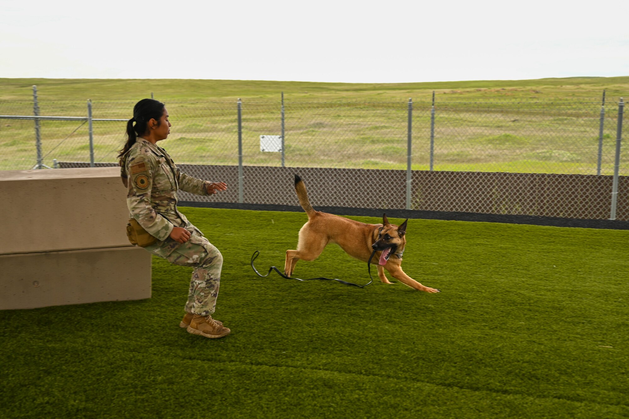 U.S. Air Force Senior Airman Gracia Bolainez, 9th Security Forces Squadron K-9 handler, and U.S Air Force Military Working Dog (MWD) Azur run the obstacle course at the kennel on Beale Air Force Base, California, Feb. 29, 2024.
