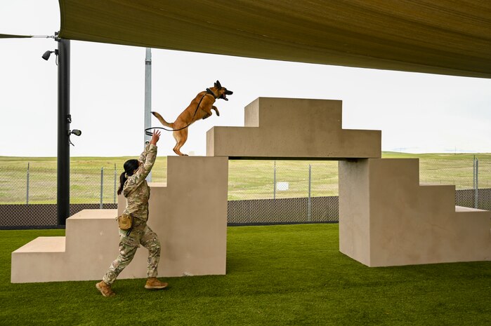 U.S. Air Force Senior Airman Gracia Bolainez, 9th Security Forces Squadron K-9 handler, and U.S Air Force Military Working Dog (MWD) Azur run the obstacle course at the kennel on Beale Air Force Base, California, Feb. 29, 2024.