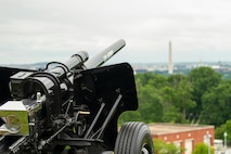 A black cannon with the words U.S. Army on the barrel is pointed out over an area with trees and the Washington Monument is seen in the distance.