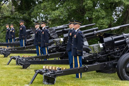 Army soldiers in dark ceremonial uniforms are standing at attention in a row near cannons that are placed on a green lawn.