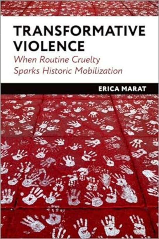 Transformative Violence book cover