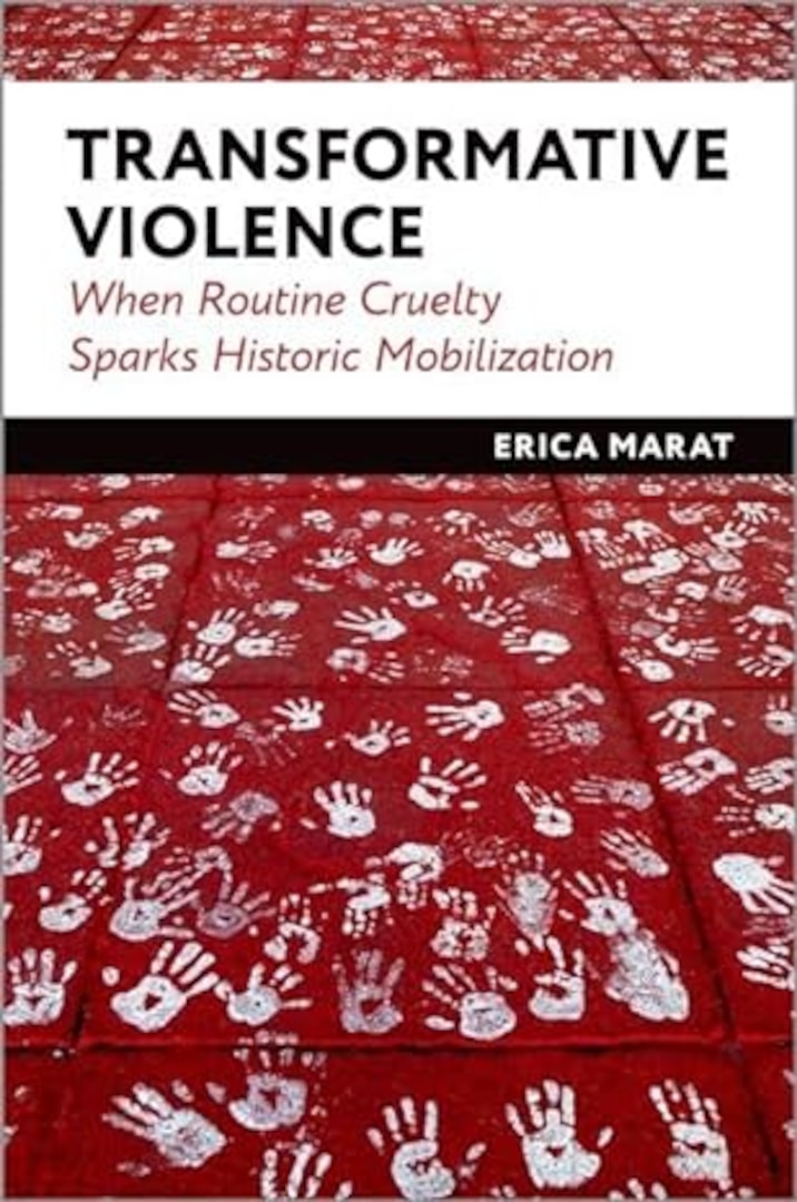 Transformative Violence book cover