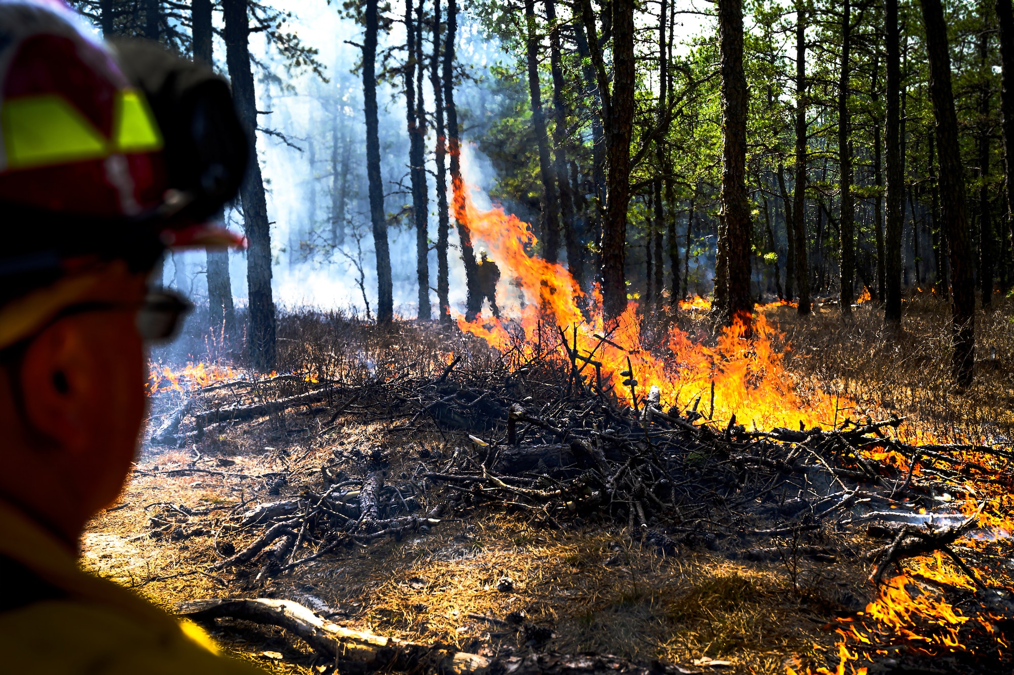 Firewardens with the New Jersey Forest Fire Service monitor undergrowth during a firebreak demonstration at Manchester Township, N.J. in Manchester Township, N.J., March 13, 2024. Officials toured a strategic forest fuel break in Manchester Township, Ocean County, one of three wildfire resilience projects in the Pinelands funded through the U.S. Department of Defense’s Readiness and Environmental Protection Integration Challenge Program. REPI facilitates long-term partnerships to improve resilience to climate change, preserve wildlife habitats and natural resources, and promote sustainable land uses near military installations and ranges. (U.S. Air Force photo by Senior Airman Matt Porter)