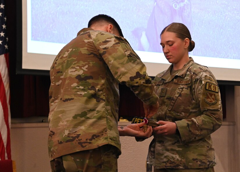 Man in military uniform pins a small medal onto a military working dog's collar that is being held by a woman in a military uniform.