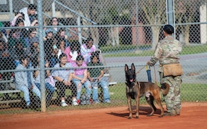 U.S. Air Force Staff Sgt. Marco Arroyo, 23rd Security Forces Squadron military working dog (MWD) handler, and his MWD, Dbonato, conduct a demonstration for school-aged children at Moody Air Force Base, Georgia, March 15, 2024. The demonstration was part of Women in Aviation Week. Team Moody’s annual WIA events aim to highlight aviation-related career fields and inspire local youth to consider futures in the Air Force. (U.S. Air Force photo by Airman Cade Ellis)