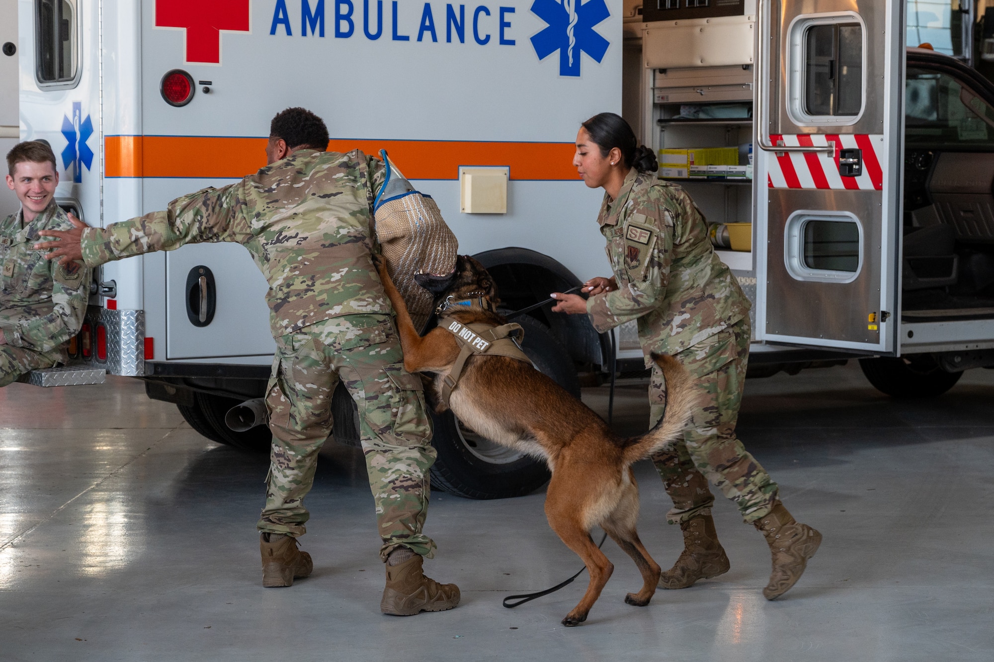 U.S. Air Force Staff Sgt. Yarithza Arista and Tech Sgt. Albert Middleton, 99th Security Forces Squadron Military Working Dog Handlers, participate in demonstrations with military working dogs on Nellis Air Force Base, Nevada, Feb. 26, 2024.