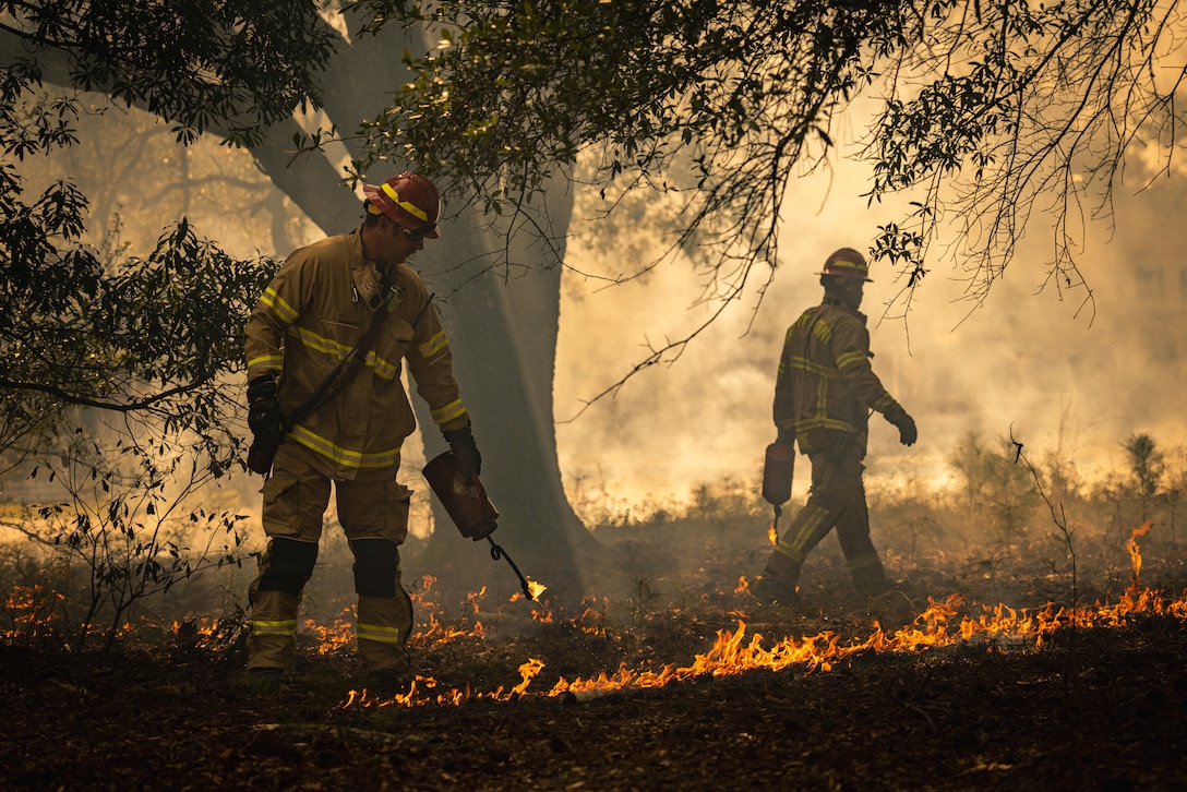 Daniel Lewis, left, and Raymond Bane, firefighters with Marine Corps Air Station Cherry Point Fire and Emergency Services, utilize gas canisters to spread fire during a controlled burn at MCAS Cherry Point, March 13, 2024. This controlled burn is a part of MCAS Cherry Point Forest Management efforts to maintain a healthy, sustainable forest. (U.S. Marine Corps photos by Lance Cpl. Matthew Williams)