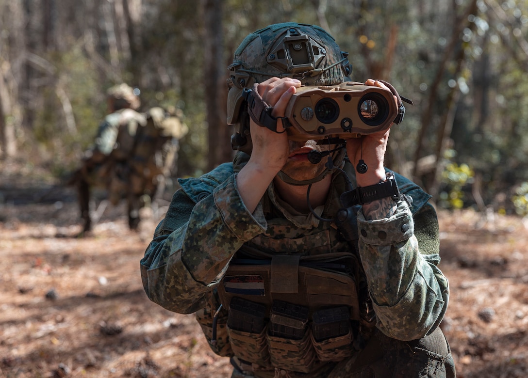 A Dutch Marine with Marine Squadron Carib, Netherlands Marine Corps scouts an objective during Exercise Caribbean Urban Warrior on Camp Lejeune, North Carolina, March 12, 2024. Exercise Caribbean Urban Warrior is a bilateral training evolution designed to increase global interoperability between 2d Marine Division and Marine Squadron Carib. (U.S. Marine Corps photo by Cpl. Megan Ozaki)