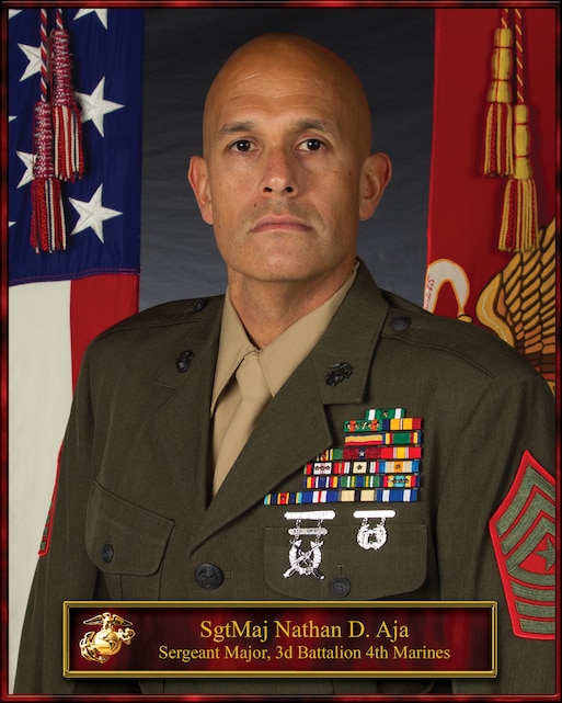 SgtMaj Nathan D. Aja > 1st Marine Division > Biography