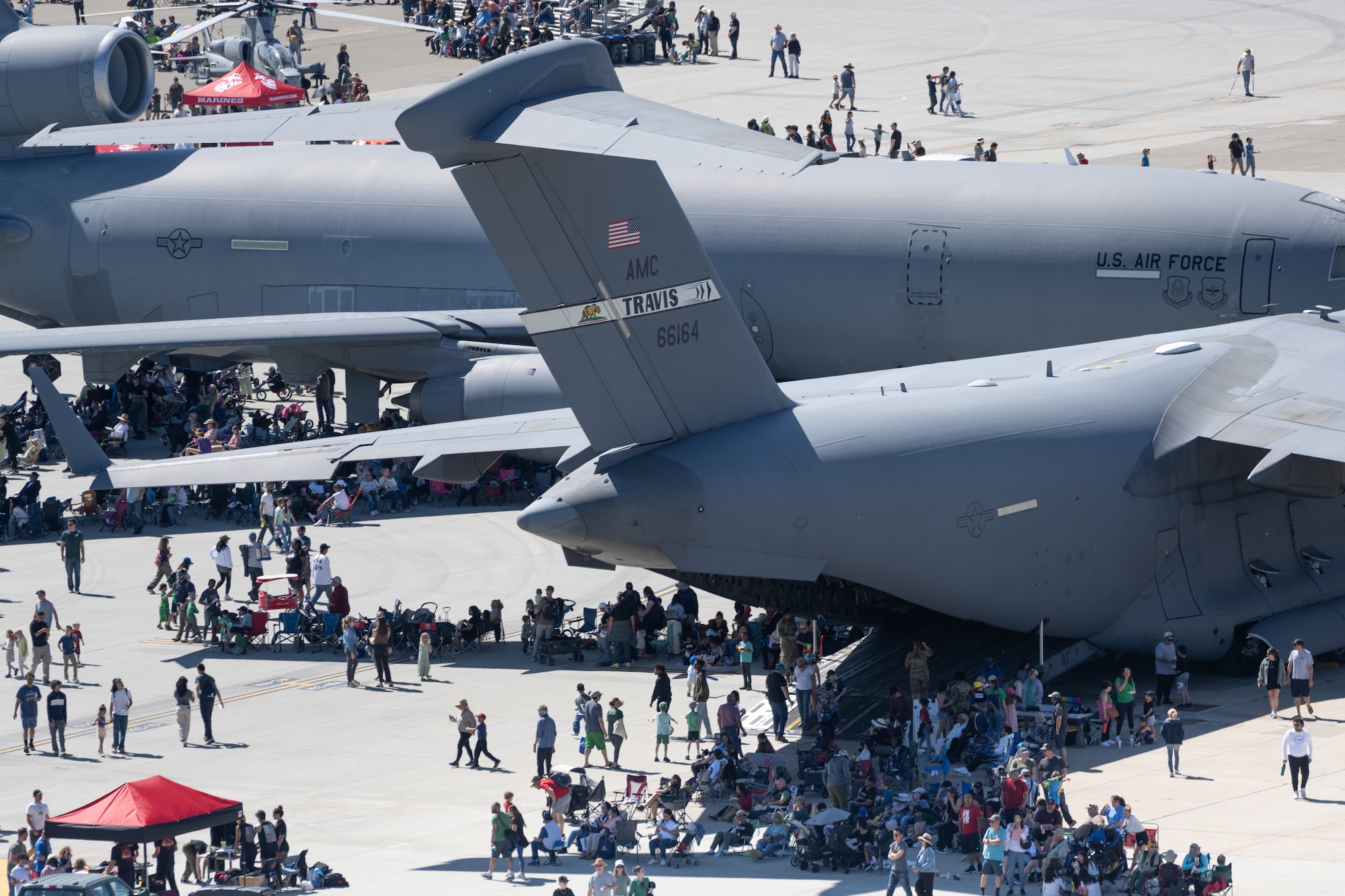 crow resting under cargo aircraft