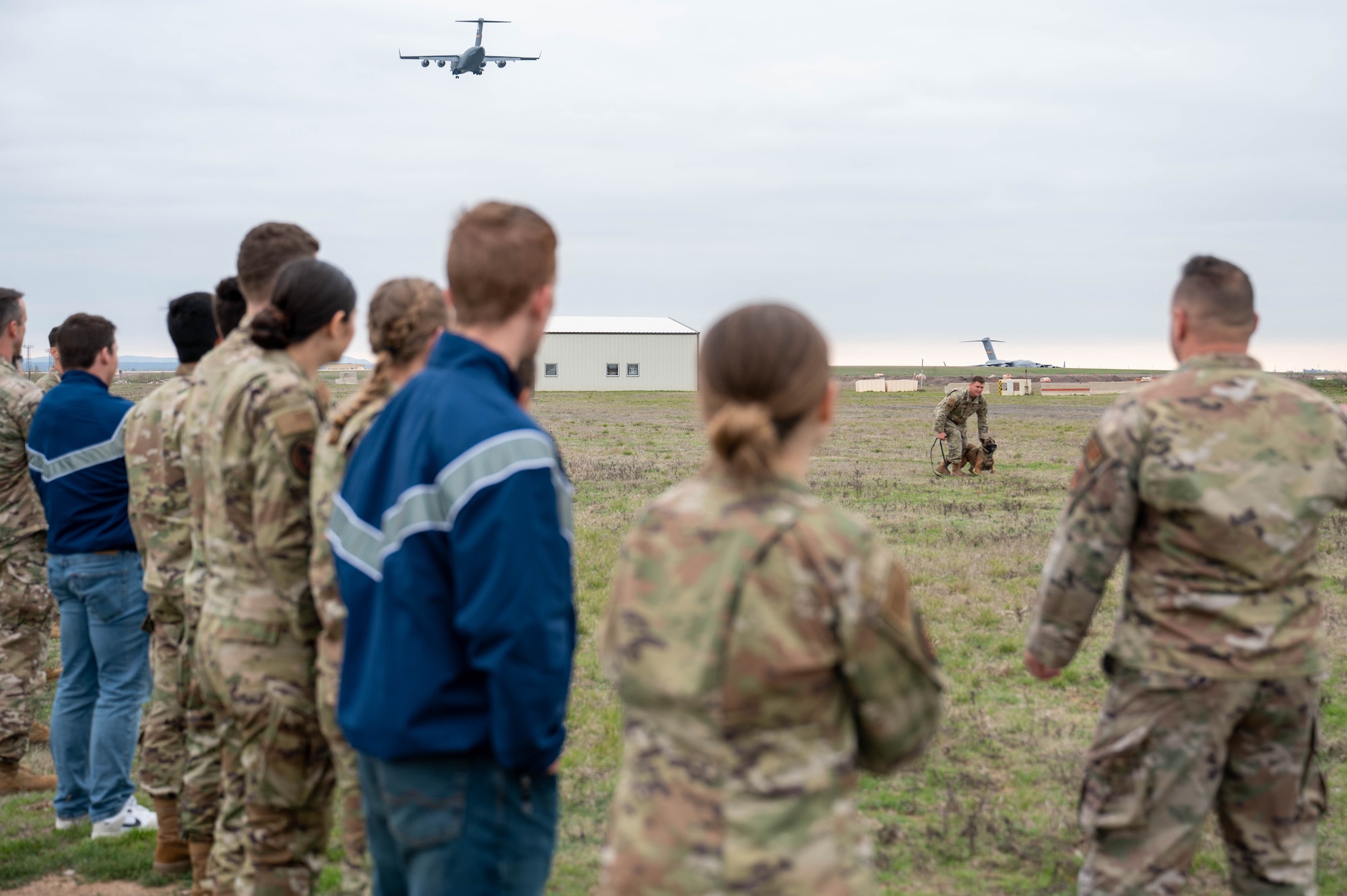 U.S. Air Force Staff Sgt. Donavan Saona, 97th Security Forces Squadron Military Working Dog (MWD) handler, demonstrates a MWD exercise to Air Force ROTC cadets from Baylor University during a tour at Altus Air Force Base, Oklahoma, March 15, 2024. The cadets got to see first-hand how the 97th Air Mobility Wing trains exceptional mobility Airmen. (U.S. Air Force photo by Airman 1st Class Heidi Bucins)