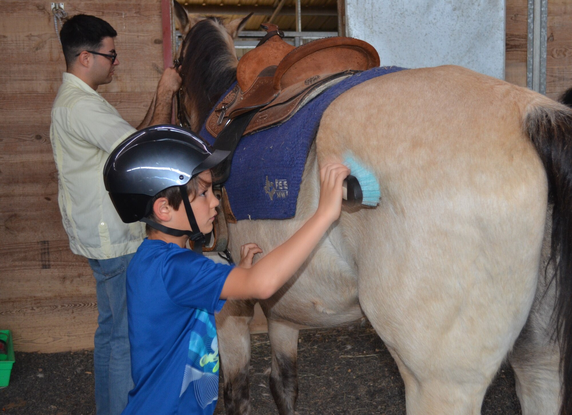 Boy brushes horse.