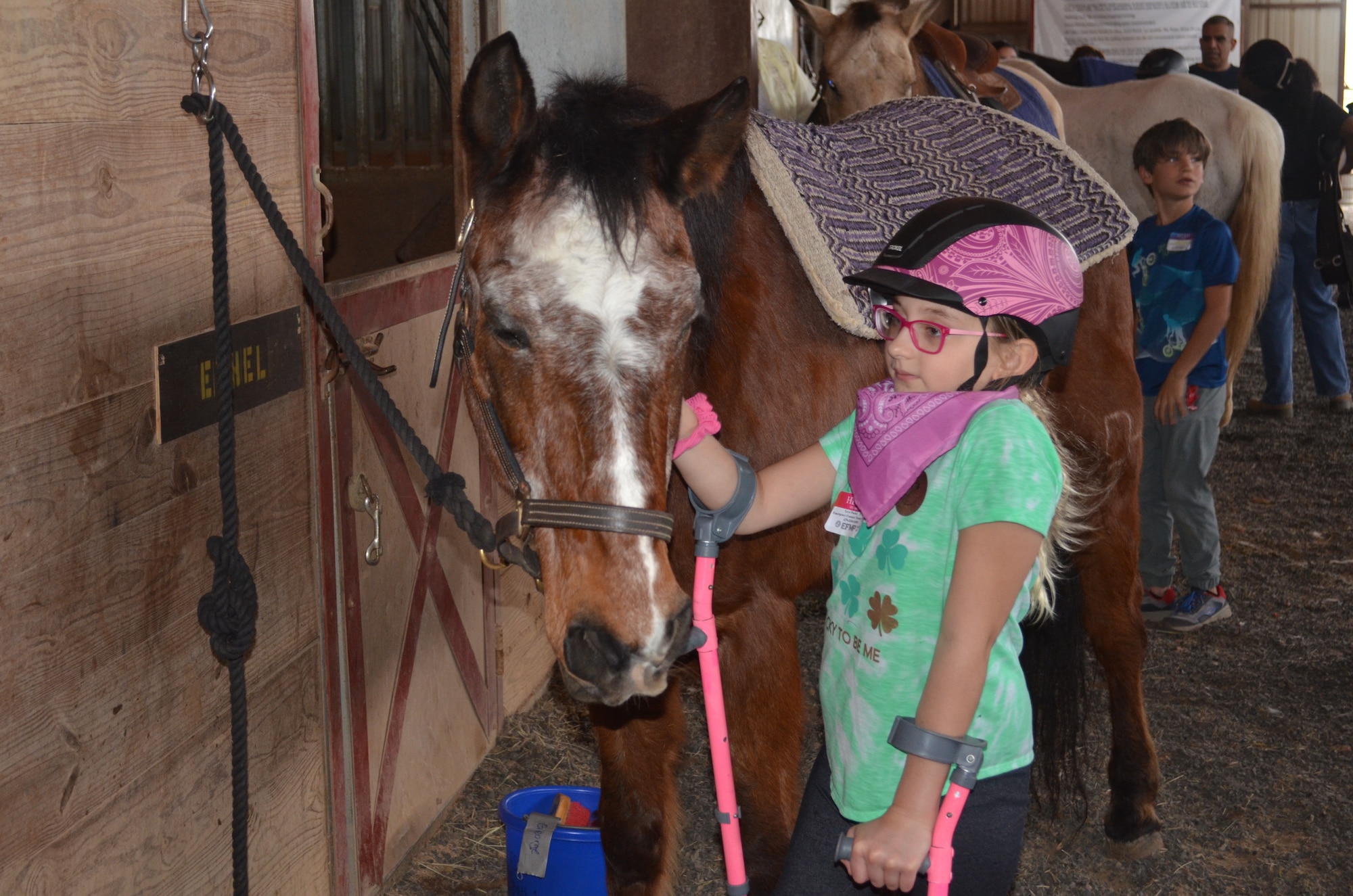 Girl petting horse