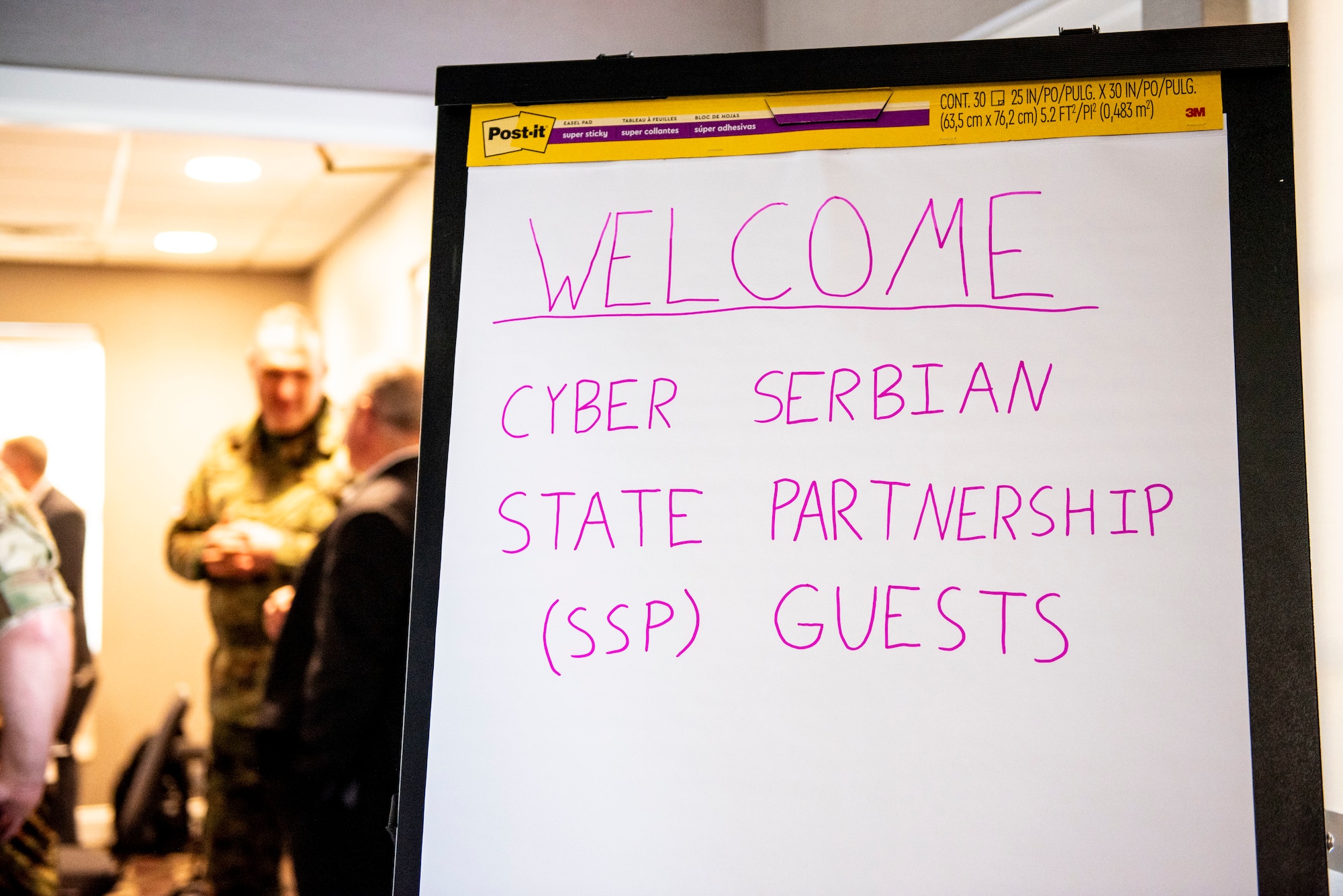 State partnership program