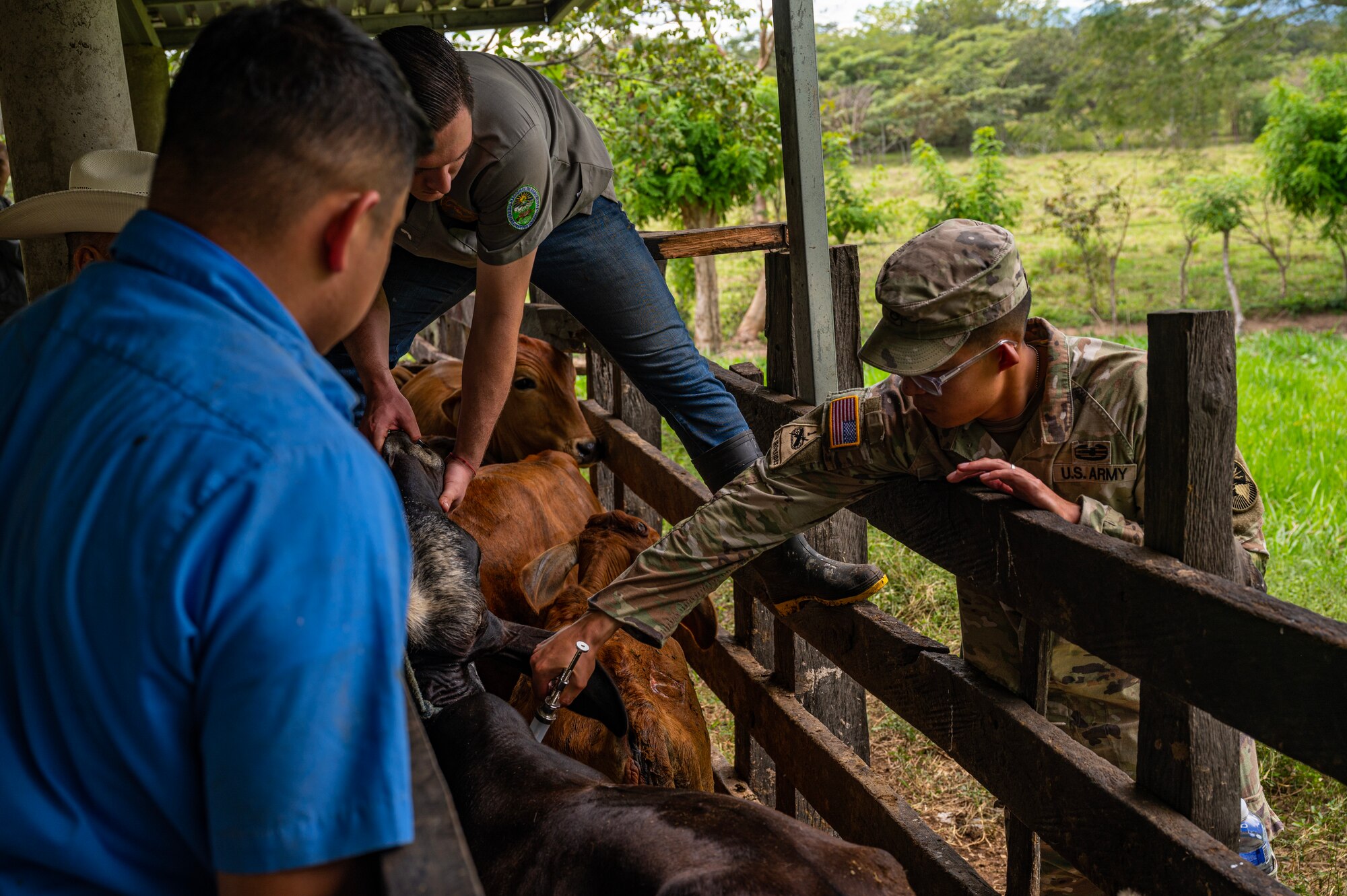 The team traveled out to the Olancho Department, working hand-in-hand with students from the Universidad Nacional de Agricultura in Olancho, to deworm & administer antibiotics and vitamins to over three hundred cattle.