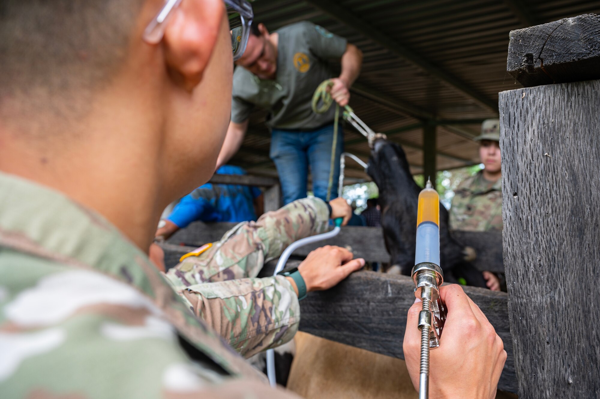 The team traveled out to the Olancho Department, working hand-in-hand with students from the Universidad Nacional de Agricultura in Olancho, to deworm & administer antibiotics and vitamins to over three hundred cattle.