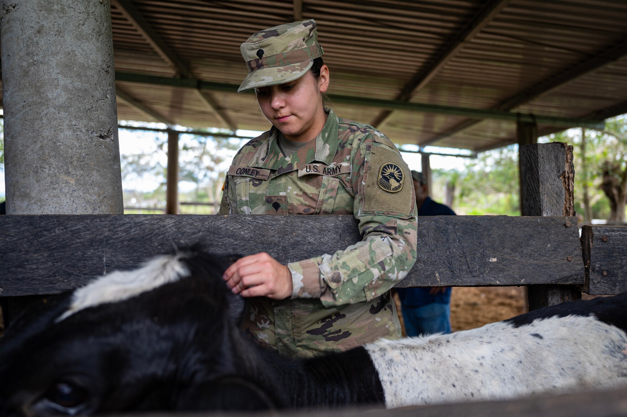 The team traveled out to the Olancho Department, working hand-in-hand with students from the Universidad Nacional de Agricultura in Olancho, to deworm & administer antibiotics and vitamins to over three hundred cattle.