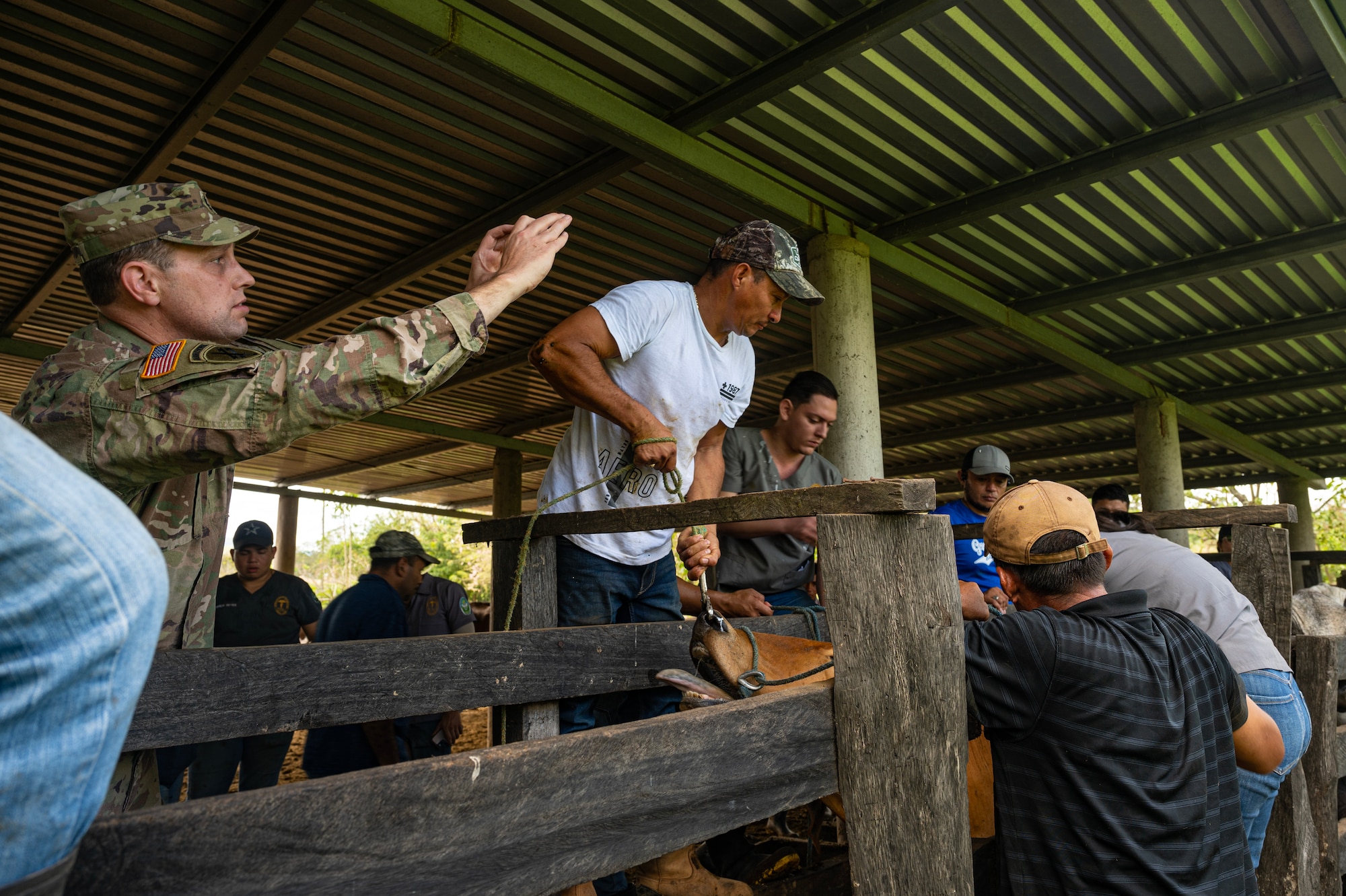 The team traveled out to the Olancho Department, working hand-in-hand with students from the Universidad Nacional de Agricultura in Olancho, to deworm & administer antibiotics and vitamins to over three hundred cattle.