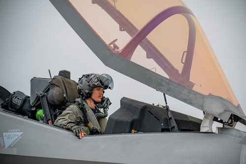 Pilot performs checks