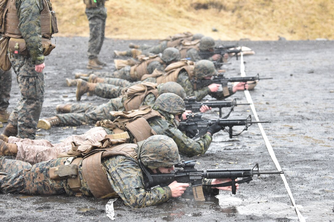 Several Marines lay in a row, on the ground and shoot targets down range.