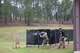 Man in USAMU shooting uniform instructing U.S. Army Soldier on outdoor firing range.