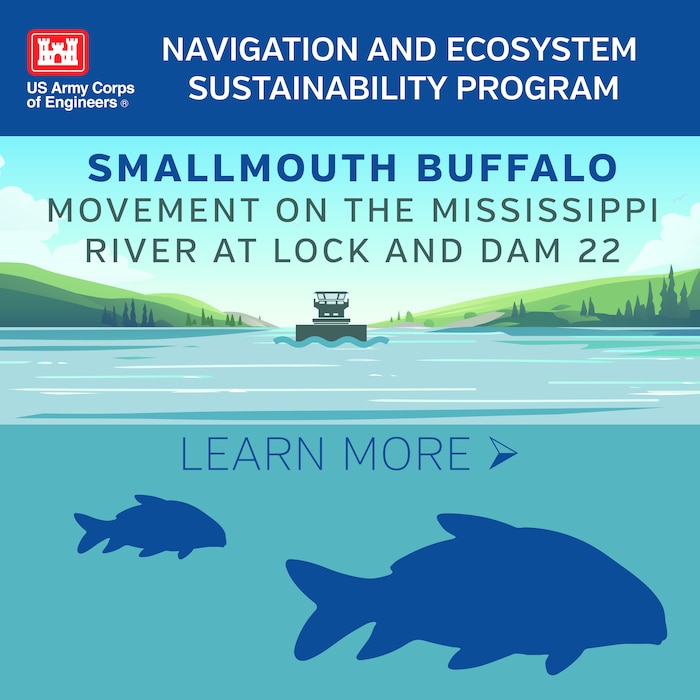 Learn more about smallmouth buffalo movement on the Mississippi River at Lock and Dam 22. 22.