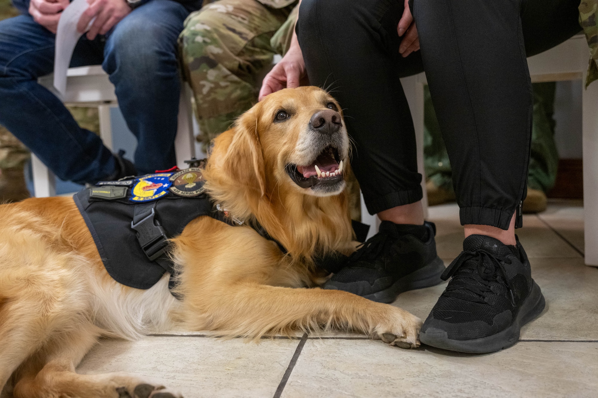 Ranger, Delaware USO therapy dog, sits by his owner’s feet, Cari Matthews, Delaware USO center operations and program manager, at Dover Air Force Base, Delaware, March 15, 2024. Ranger was among 18 therapy dogs from USO centers worldwide nominated for the 2023 USO Canine Volunteer of the Year Award. (U.S. Air Force photo by Mauricio Campino)