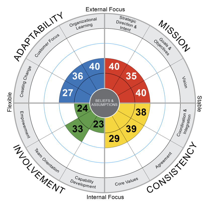 A radial chart shows scores in fields of adaptability, mission, involvement, and consistency.