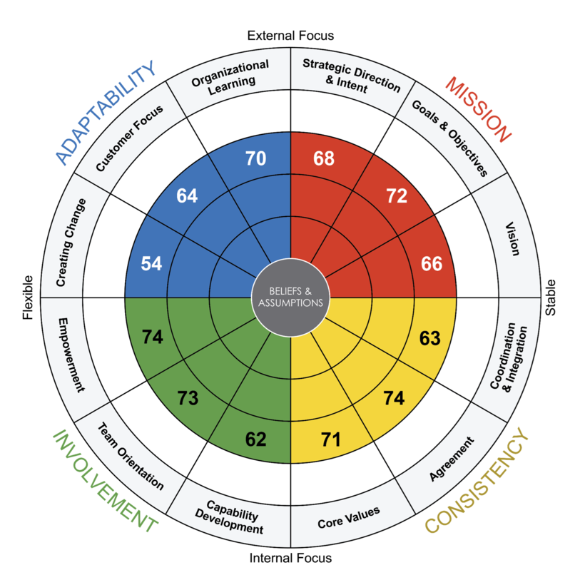 A radial chart shows scores in fields of adaptability, mission, involvement, and consistency.