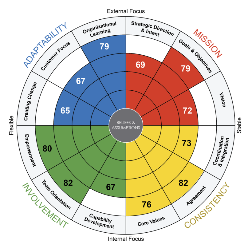 A radial chart shows scores in fields of adaptability, mission, involvement, and consistency.