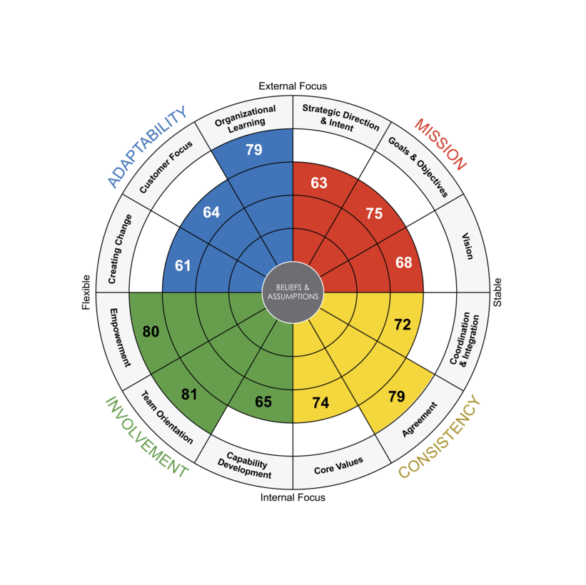 A radial chart shows scores in fields of adaptability, mission, involvement, and consistency.