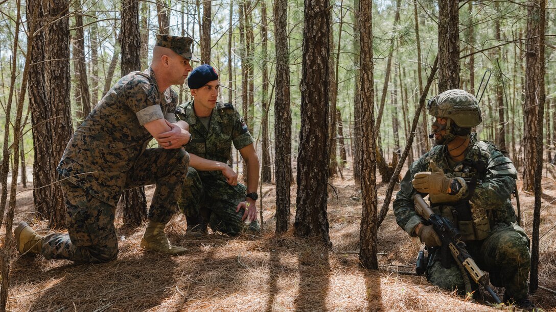 Dutch Marines Simulated Casualty Evacuation