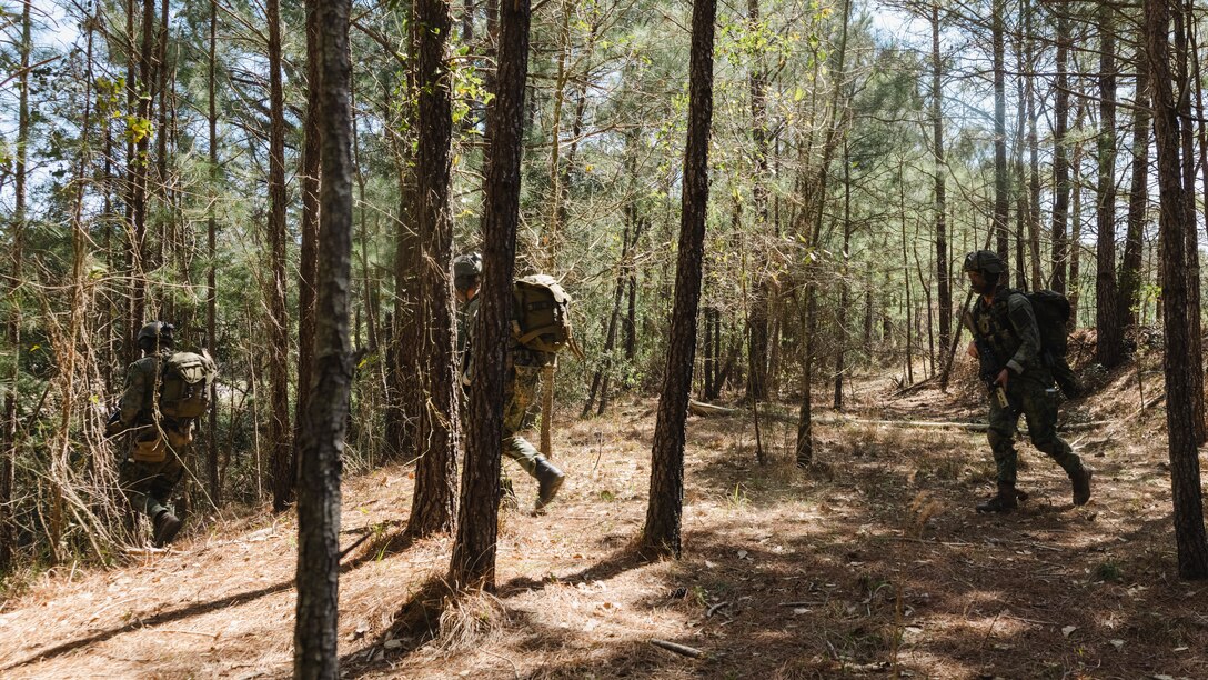 Dutch Marines Simulated Casualty Evacuation