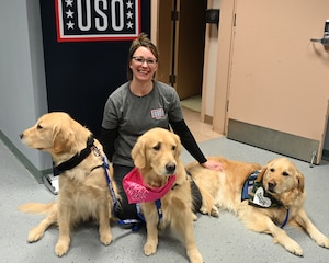 A U.S. Air Force Airman visits with two Golden Retriever resiliency dogs at the New England USO at Westover on April 6, 2024.  The dogs owner is seated in the background.