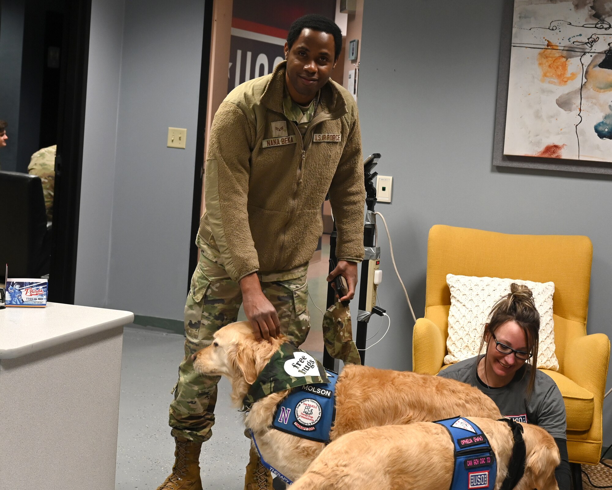 A U.S. Air Force Airman visits with two Golden Retriever resiliency dogs at the New England USO at Westover on April 6, 2024.  The dogs owner is seated in the background.